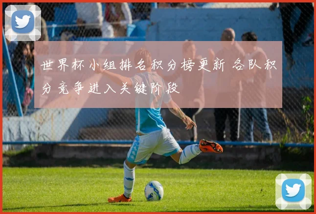 世界杯小组排名积分榜更新 各队积分竞争进入关键阶段