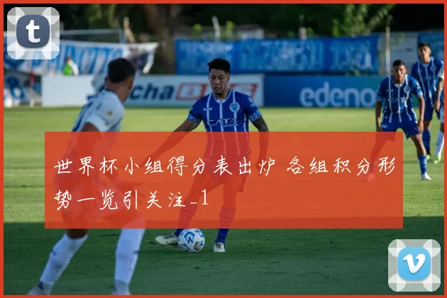 世界杯小组得分表出炉 各组积分形势一览引关注_1