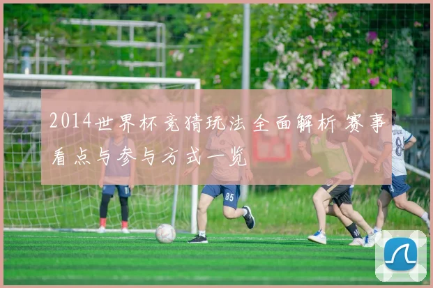 2014世界杯竞猜玩法全面解析 赛事看点与参与方式一览