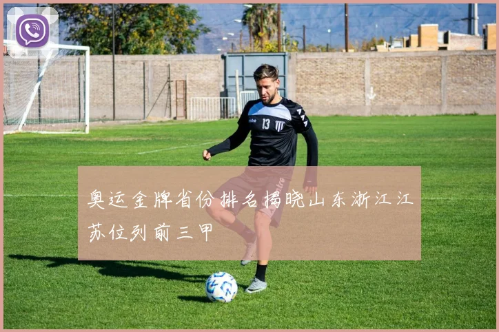 奥运金牌省份排名揭晓山东浙江江苏位列前三甲