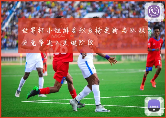 世界杯小组排名积分榜更新 各队积分竞争进入关键阶段