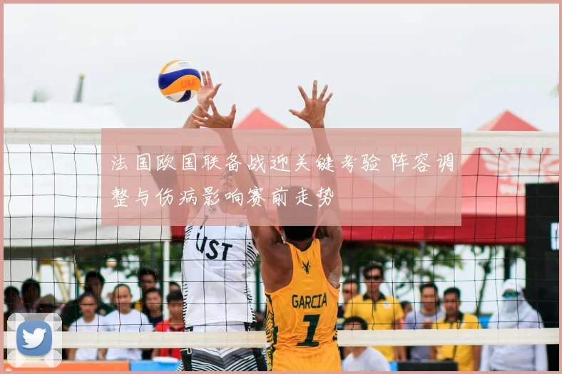 法国欧国联备战迎关键考验 阵容调整与伤病影响赛前走势